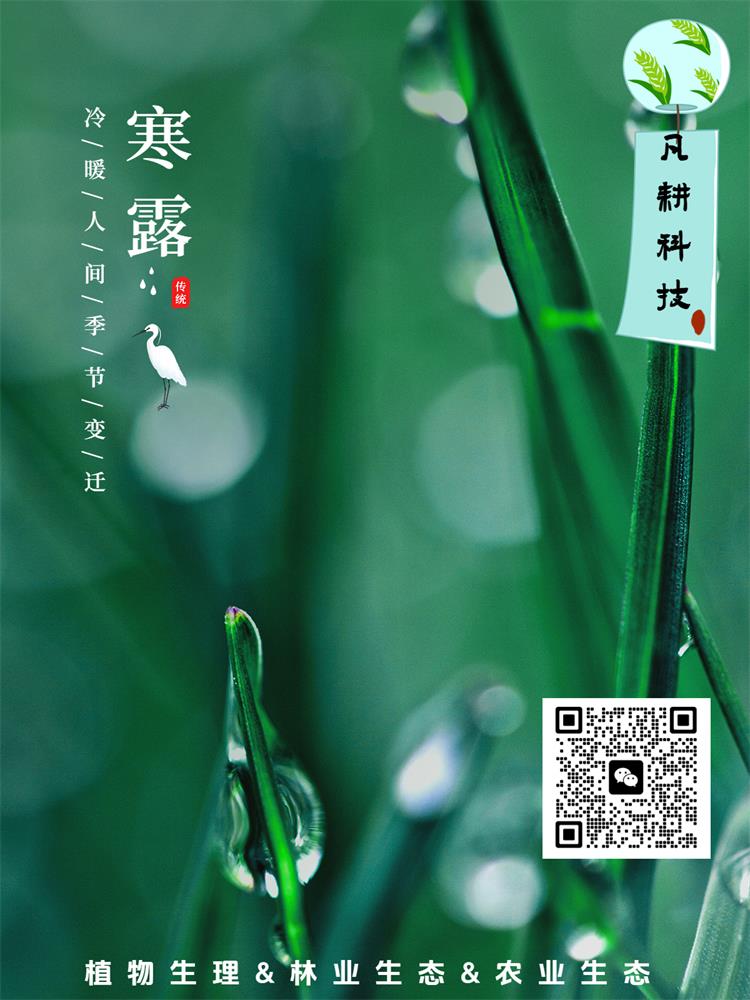 節氣寒露曬風(fēng)景簡(jiǎn)約風(fēng)plog模板.jpg